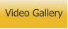 Video Gallery